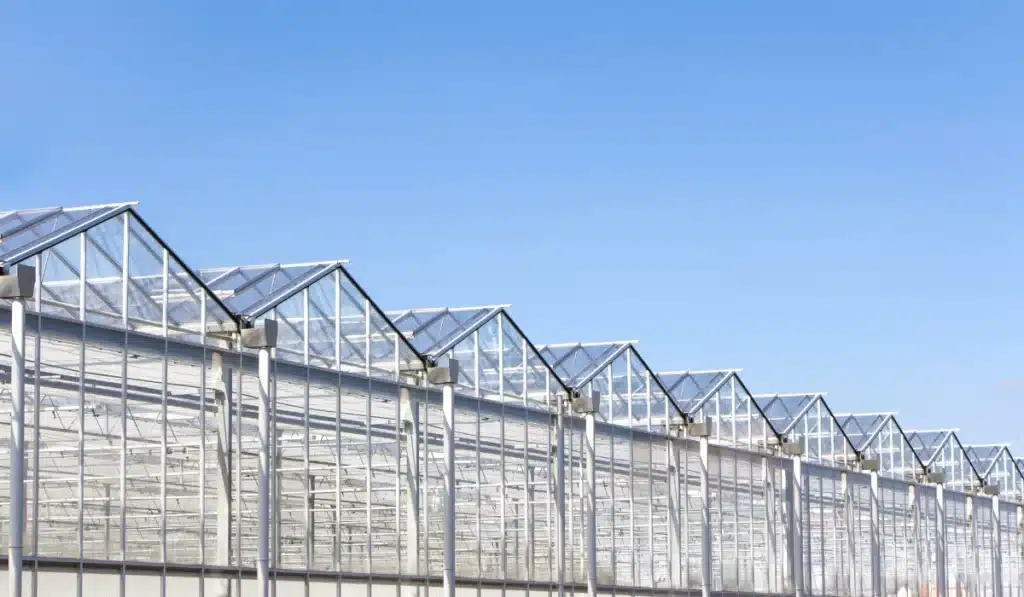 Nachhaltigkeit: Reihe moderner Industrie-Gewächshäuser unter blauem Himmel